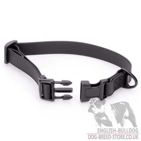 Biothane Quick-Release Collar for Young Bulldog