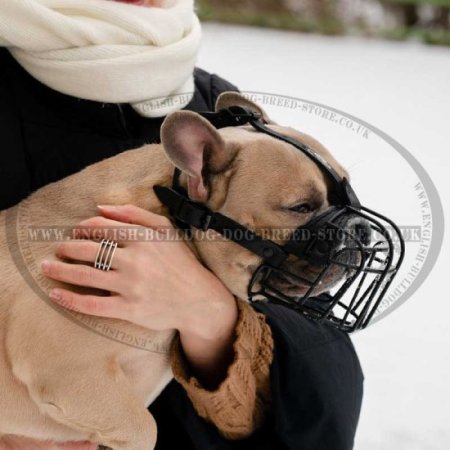 French Bulldog Basket Muzzle for Heat and Frost