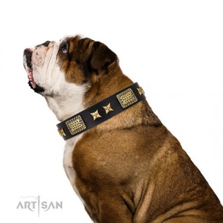 English Bulldog Leather Collar "Passion of Style and Beauty" FDT Artisan