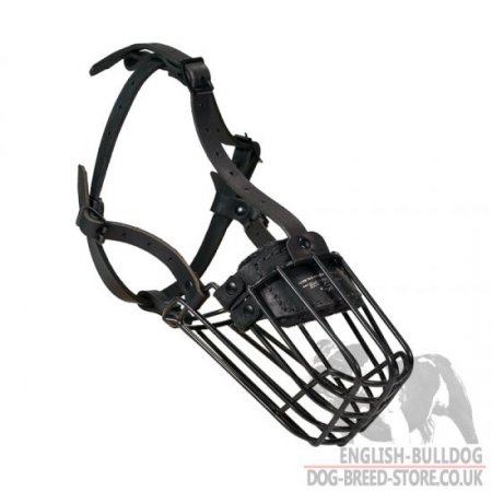 American Bulldog Basket Muzzle with Rust-Proof Polymer Coating