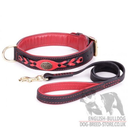 British Bulldog Collar and Lead Posh Set "Heavy Fire"