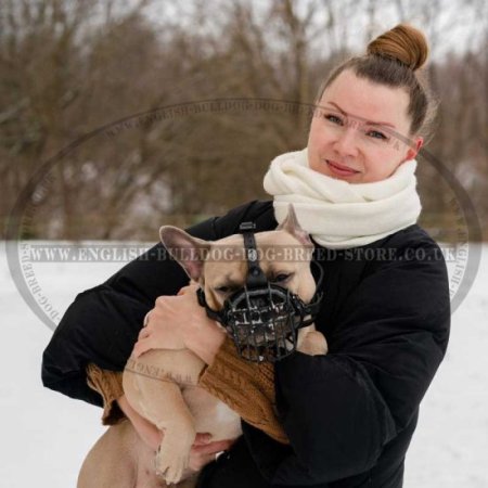 French Bulldog Basket Muzzle for Heat and Frost