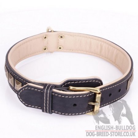 English Bulldog Leather Collar "Pyramid" with Nappa Padding and Brass Details