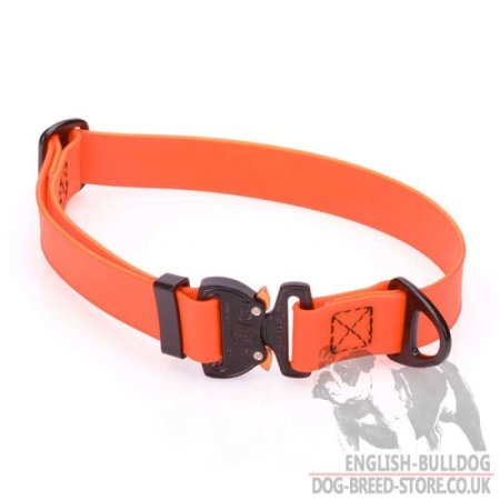 Adjustable Cobra Buckle Dog Collar for Bulldog