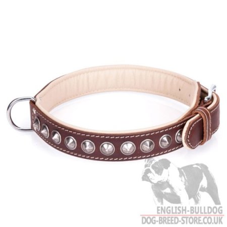 Dog Collar for English Bulldog of Nappa Lined Brown Leather "Cone"