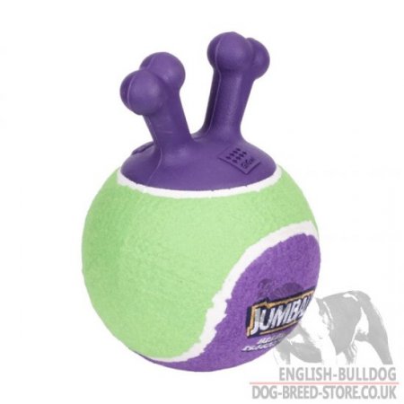 Jumball best sale for dogs