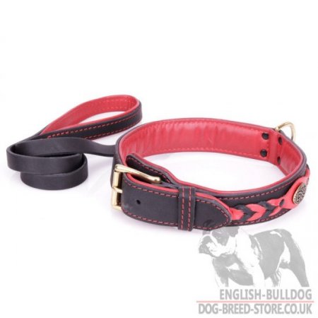 British Bulldog Collar and Lead Posh Set "Heavy Fire"