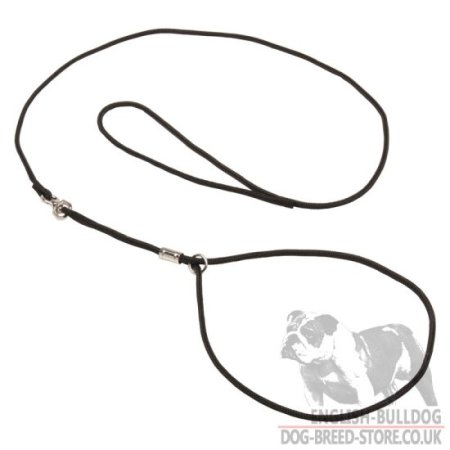 Bulldog Show Lead and Collar of Round Nylon 2-in-1