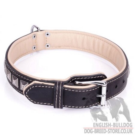 Dog Collar for English Bulldog "Pyramid" of Black Leather