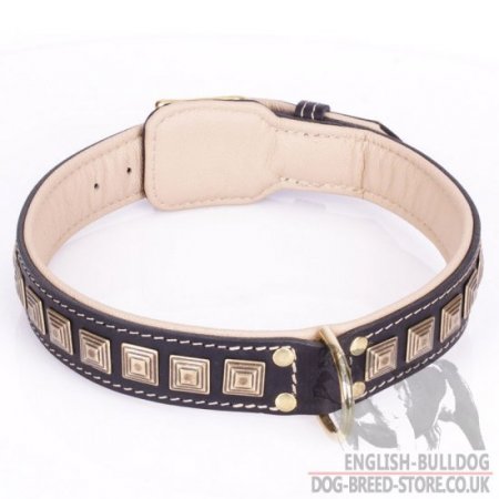 English Bulldog Leather Collar "Pyramid" with Nappa Padding and Brass Details