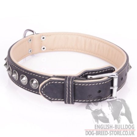 English Bulldog Dog Collar "Cone" of Black Leather