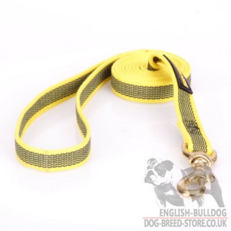 English Bulldog Lead of Yellow Nylon with Non-Slip Rubber Lines