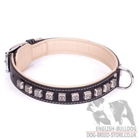 English Bulldog Dog Collar "Cube" with Nappa Padding