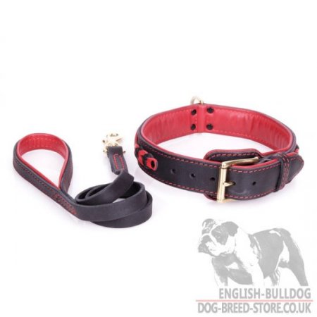 British Bulldog Collar and Lead Posh Set "Heavy Fire"