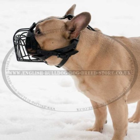 French Bulldog Basket Muzzle for Heat and Frost