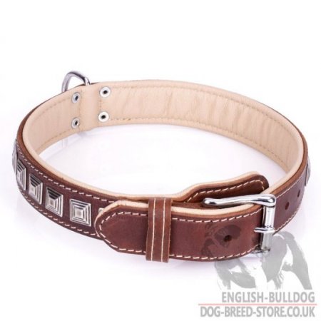 Dog Collar for British Bulldog "Pyramid" of Brown Leather