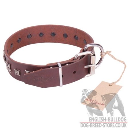 British Bulldog Collar of Brown Leather "Stellar Fairy" FDT Artisan