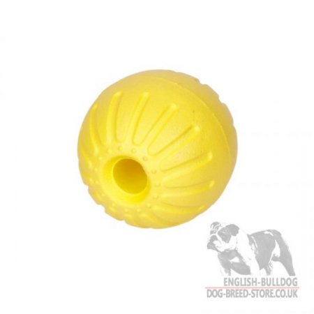 Hard Ball Dog Toy Lightweight, Unsinkable and Resistant to Bites