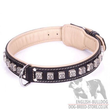 English Bulldog Dog Collar "Cube" with Nappa Padding