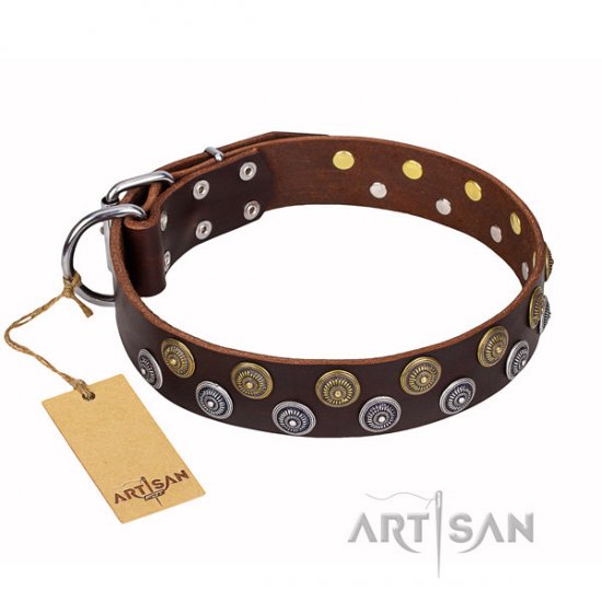 English Bulldog Dog Collar "Strong Shields" FDT Artisan, Brown