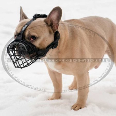 French Bulldog Basket Muzzle for Heat and Frost