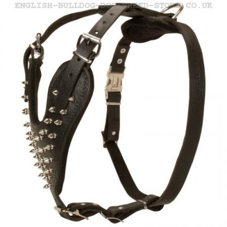 Dog Harness for Bulldog of Large Size and Great Power