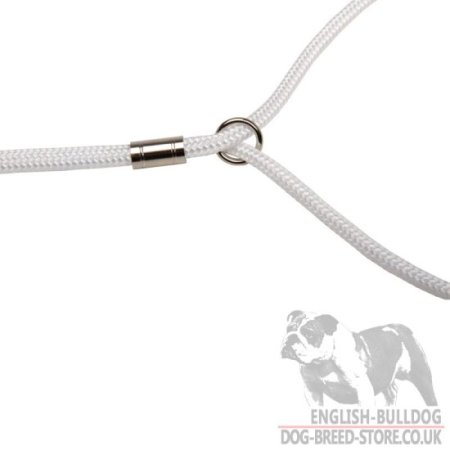 Bulldog Show Lead and Collar of Round Nylon 2-in-1