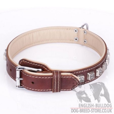 English Bulldog Dog Collar of Brown Leather "Cube"