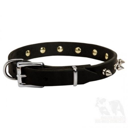 French Bulldog Leather Collar with Spikes for Walking in Style