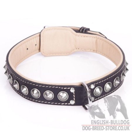 English Bulldog Dog Collar "Cone" of Black Leather