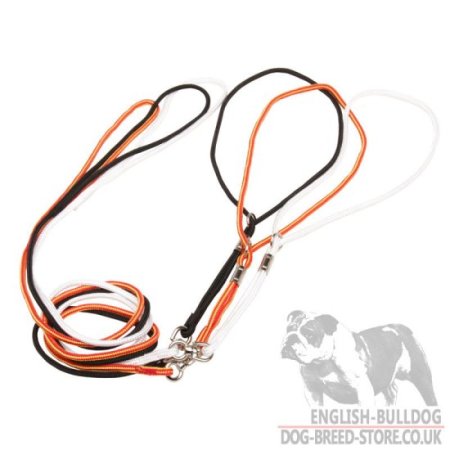 Dog showmanship hot sale leads