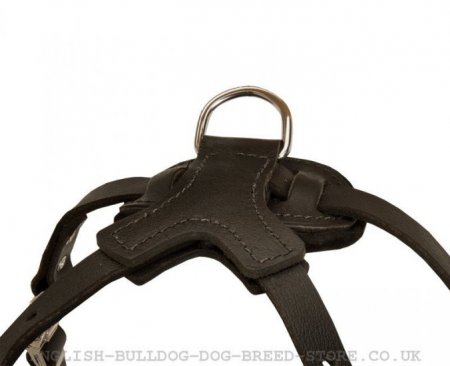 Dog Harness for Bulldog of Large Size and Great Power