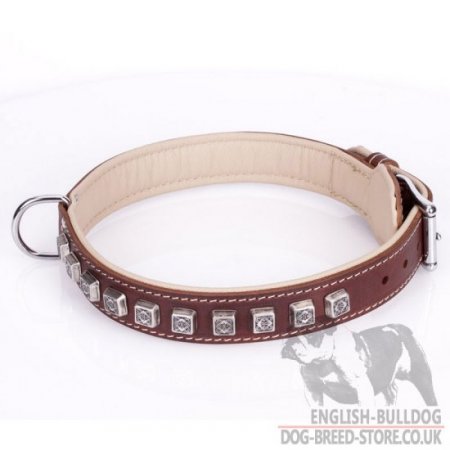 English Bulldog Dog Collar of Brown Leather "Cube"