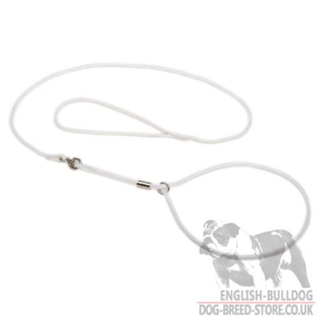 Bulldog Show Lead and Collar of Round Nylon 2-in-1