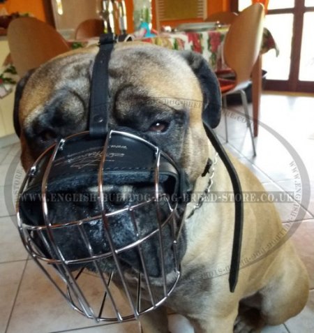 Bullmastiff Muzzle of Wire with Good Ventilation Perfect for Daily Use