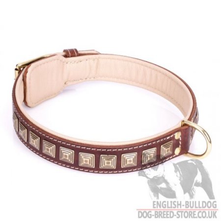 Leather Collar for English Bulldog "Pyramid" of Brown Leather