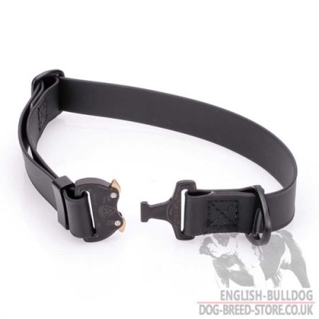 Adjustable Cobra Buckle Dog Collar for Bulldog