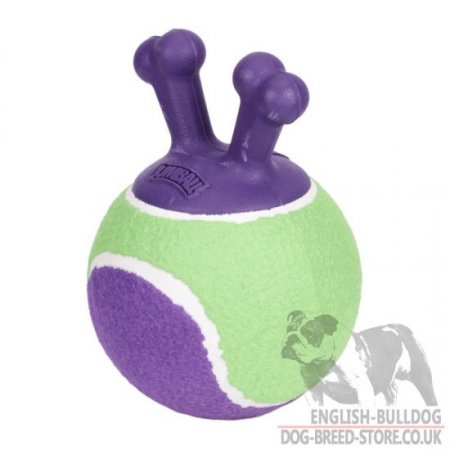 Dog toy outlet ball with handle