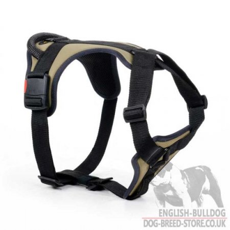 British Bulldog Harness of Khaki Colour for Daily Use