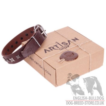 British Bulldog Collar of Brown Leather "Stellar Fairy" FDT Artisan