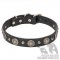 English Bulldog Collar of Leather with Brass Flowers and Studs