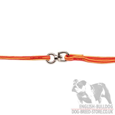 Bulldog Show Lead and Collar of Round Nylon 2-in-1