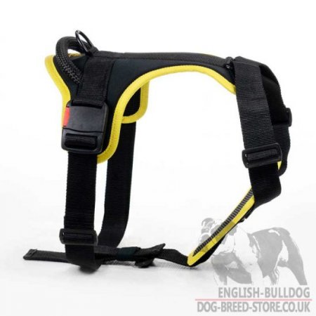 Bulldog Dog Harness of Nylon, Comfy and Safe