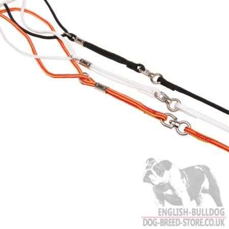 Bulldog Show Lead and Collar of Round Nylon 2-in-1