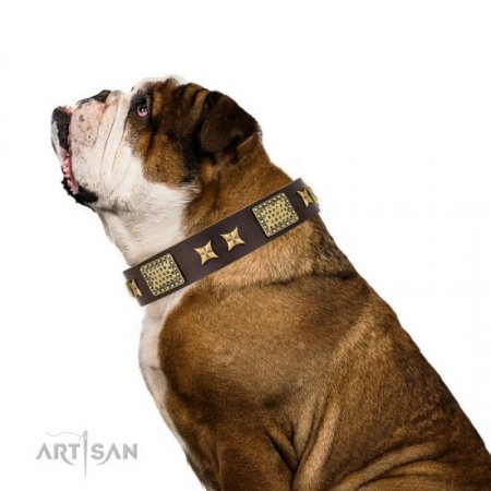 Leather Collar for English Bulldog "Sparkling Bronze" FDT Artisan