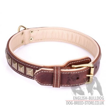 Leather Collar for English Bulldog "Pyramid" of Brown Leather