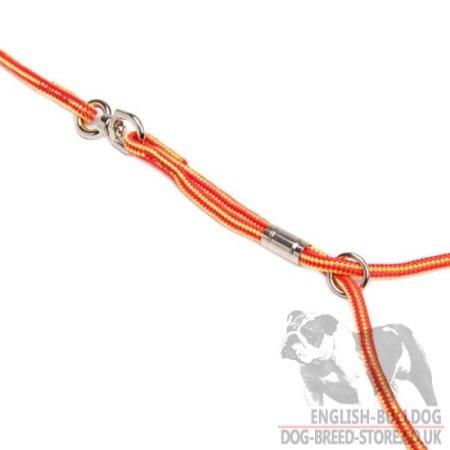 Bulldog Show Lead and Collar of Round Nylon 2-in-1