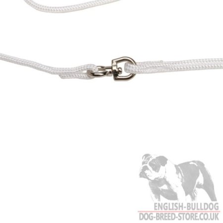 Bulldog Show Lead and Collar of Round Nylon 2-in-1