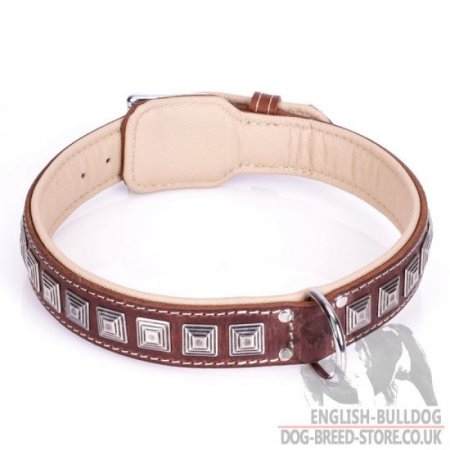 Dog Collar for British Bulldog "Pyramid" of Brown Leather