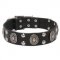 English Bulldog Collar Leather with Silver-Like Plates and Studs